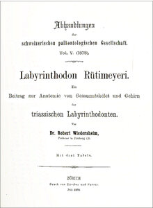 LABYRINTHODON RÜTIMEYERI 1878