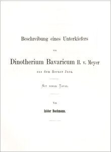 BESCHREIBUNG EINES UNTERKIEFERS VON DINOTHERIUM BAVARICUM 1875 (2-4)