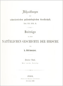BEITRÄGE ZU EINER NATÜRLICHEN GESCHICHTE DER HIRSCHE 1883