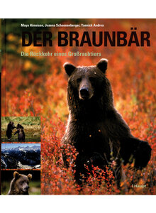 DER BRAUNBR - HNEISEN/SCHOENENBERGER/ANDREA