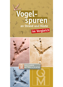 QUELLE & MEYER-BESTIMMUNGS- KARTEN: VOGELSPUREN AN STRAND UND KSTE