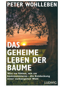 DAS GEHEIME LEBEN DER BUME - PETER WOHLLEBEN