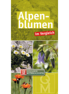 Q&M BESTIMMUNGSKARTE ALPENBLUMEN IM VERGLEICH