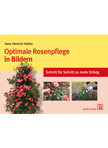 OPTIMALE ROSENPFLEGE IN BILDERN - HANS HEINRICH MLLER