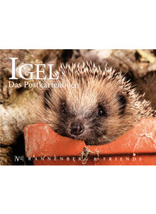 Produktbild fr 'POSTKARTENBUCH IGEL'