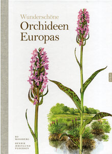 WUNDERSCHNE ORCHIDEEN EUROPAS - MOSSBERG/PEDERSEN