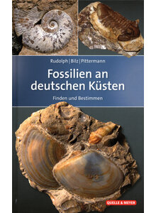 FOSSILIEN AN DEUTSCHEN KSTEN - RUDOLPH/BILZ/PITTERMANN