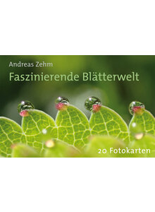 POSTKARTENBUCH FASZINIERENDE BLTTERWELT