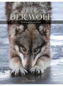 DER WOLF - ELLIS/SLOAN
