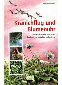 KRANICHFLUG UND BLUMENUHR - PETER WOHLLEBEN