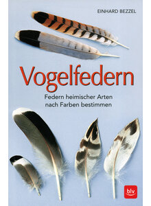 VOGELFEDERN - EINHARD BEZZEL