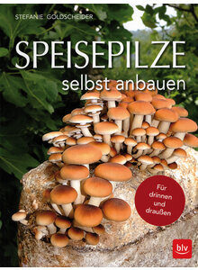 SPEISEPILZE SELBST ANBAUEN - STEFANIE GOLDSCHEIDER