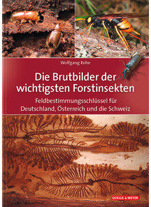 DIE BRUTBILDER DER WICHTIGSTEN FORSTINSEKTEN - WOLGANG ROHE