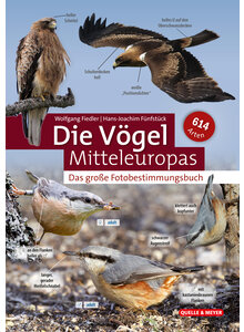 DIE VGEL MITTELEUROPAS - DAS GROE FOTOBESTIMMUNGSBUCH - FIEDLER/FNFSTCK