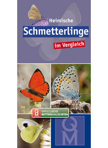 HEIMISCHE SCHMETTERLINGE IM VERGLEICH - Q&M BESTIMMUNGSKARTE