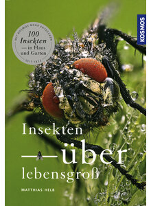 INSEKTEN BERLEBENSGRO - MATTHIAS HELB