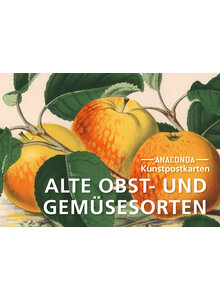 Auf diesem Bild sehen Sie das Produktbild fr KUNSTPOSTKARTEN ALTE OBST- UND GEMSESORTEN