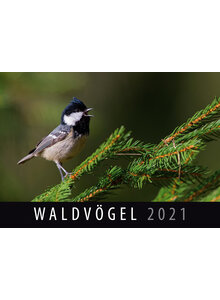 WANDKALENDER WALDVÖGEL 2021