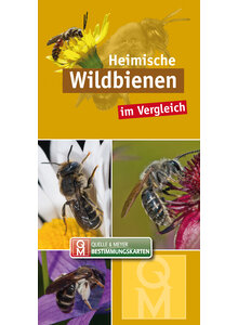 HEIMISCHE WILDBIENEN IM VERGLEICH - BESTIMMUNGSKARTE