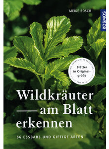 WILDKRUTER AM BLATT ERKENNEN - MEIKE BOSCH