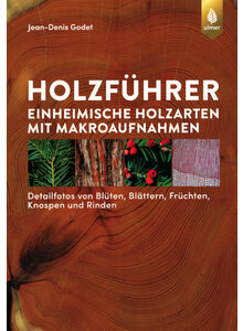 HOLZFHRER - JEAN-DENIS GODET