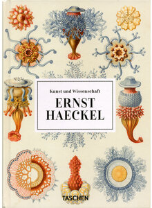 ERNST HAECKEL - KUNST UND WISSENSCHAFT - WILLMAN/VOSS