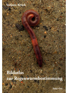 BILDATLAS ZUR REGENWURM- BESTIMMUNG - STEFANIE KRCK