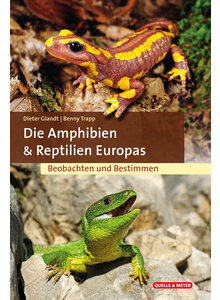 AMPHIBIEN & REPTILIEN EUROPAS BEOBACHTEN UND BESTIMMEN - GLANDT/TRAPP
