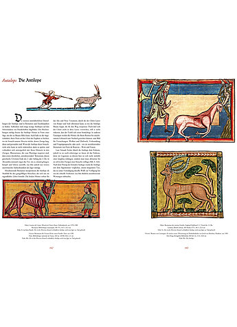 BESTIARIUM - HECK/CORDONNIER Bild 3