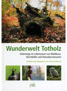 WUNDERWELT TOTHOLZ - FARINA GRAMANN