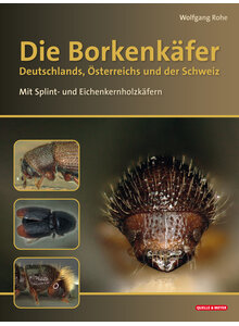 Auf diesem Bild sehen Sie das Produktbild fr DIE BORKEN- UND EICHENKERNHOLZ KFER IN DE, AT U. DER SCHWEIZ - WOLFGANG ROHE