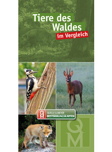 TIERE DES WALDES IM VERLGLEICH - Q&M BESTIMMUNGSKARTE QUELLE & MEYER