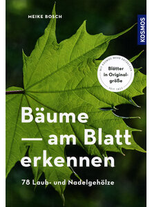 BUME AM BLATT ERKENNEN - MEIKE BOSCH