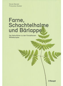 Produktbild fr 'FARNE SCHACHTELHALME UND BRLAPPE - BENDEL/ALSAKER'