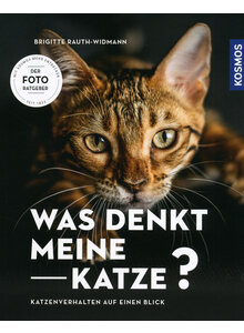 Produktbild fr 'WAS DENKT MEINE KATZE? - BRIGITTE RAUTH-WIDMANN'
