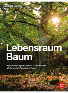 LEBENSRAUM BAUM - VOLKER BINNER