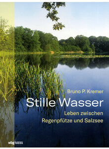 STILLE WASSER - BRUNO P. KREMER