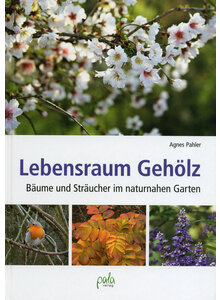 LEBENSRAUM GEHLZ - AGNES PAHLER