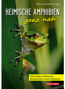 HEIMISCHE AMPHIBIEN GANZ NAH - GLANDT/TRAPP