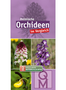 BESTIMMUNGSKARTE ORCHIDEEN IM VERGLEICH