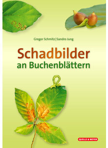 SCHADBILDER AN BUCHENBLÄTTERN - SCHMITZ/JUNG