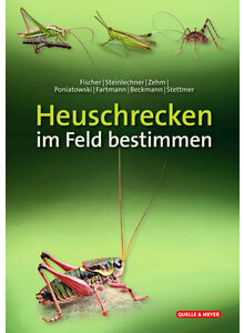 HEUSCHRECKEN IM FELD BESTIMMEN FISCHER/STEINLECHNER/ZEHM U.A.