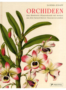 ORCHIDEEN - SANDRA KNAPP