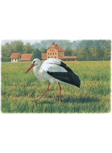 ATLAS DEUTSCHER BRUTVOGELARTEN (ADEBAR) - Bild 4