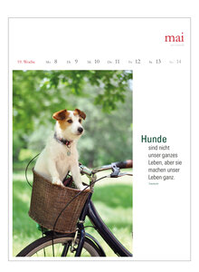 LITERARISCHER HUNDEKALENDER 2023 - Bild 3