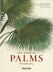 THE BOOK OF PALMS - DAS BUCH DER PALMEN - H. WALTER LACK