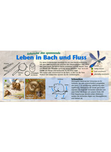 LEBEN IN BACH UND FLUSS - BESTIMMUNGSHILFE