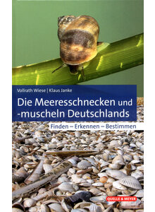 DIE MEERESSCHNECKEN UND  (M) -MUSCHELN DEUTSCHLANDS - WIESE/JANKE