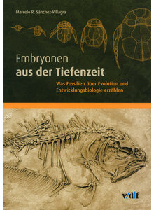 EMBRYONEN AUS DER TIEFENZEIT - MARCELO R. SNCHEZ-VILLAGRA