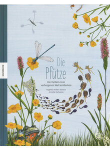 Produktbild fr Produktnummer 6206724